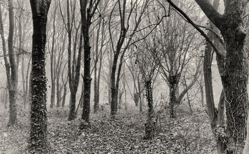 Dediche & Richieste – Winter&nbsp;Melody